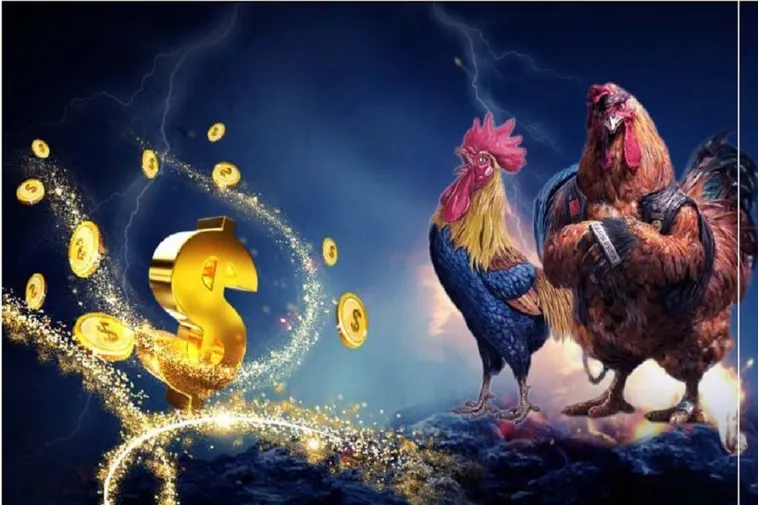 Hướng Dẫn Cách Chơi Đá Gà 3D Tại W88 Một Cách Chi Tiết Nhất 2 Hướng Dẫn Cách Chơi Đá Gà 3D Tại W88 Một Cách Chi Tiết Nhất