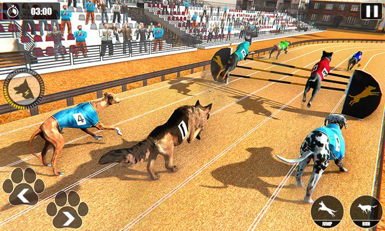 Hướng Dẫn Cách Chơi Game Đua Chó Nhanh Tại W88 Hiệu Quả Nhất